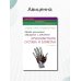 Лучевая диагностика повреждений и заболеваний лучезапястного сустава и запястья. (Конспект лучевого диагноста) 3-е изд