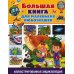 Большая книга для маленьких любознашек