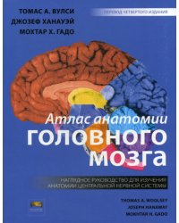 Атлас анатомии головного мозга. Наглядное руководство для изучения анатомии центральной нервной системы