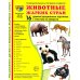 Комплект. Демонстрационные картинки &quot;СУПЕР. Домашние и дикие животные&quot; (количество томов: 6)