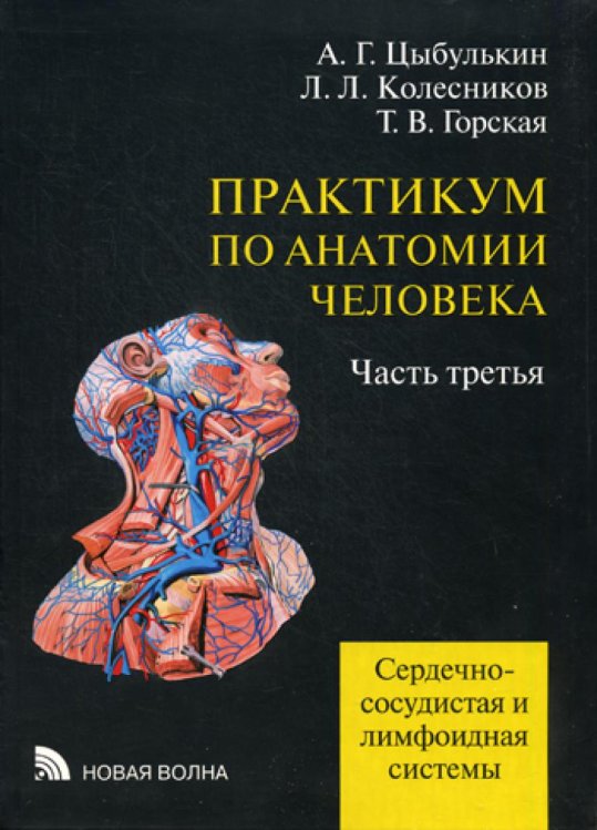 Практикум по анатомии человека. В 4-х частях. Часть 3. Сердечно-сосудистая и лимфоидная системы