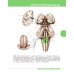 Textbook of Human Anatomy. In 3 vol. Vol. 3: Nervous system. Esthesiology: на англ.яз