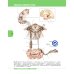 Textbook of Human Anatomy. In 3 vol. Vol. 3: Nervous system. Esthesiology: на англ.яз