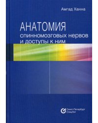 Анатомия спинномозговых нервов и доступы к ним