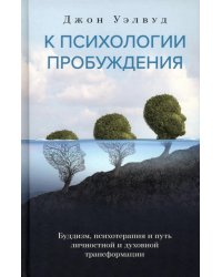 К психологии пробуждения. Буддизм, психотерапия и путь личностной и духовной трансформации