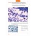 Практическая цитопатология. Интерпретация результатов ТИАБ на основе распознавания паттернов. Том II