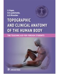 Topographic and clinical anatomy of the human body. The teaching aid for foreign students