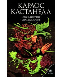 Огонь изнутри. Сила безмолвия. Книга 4