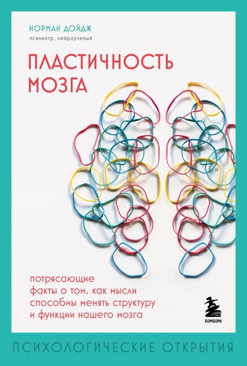 Пластичность мозга. Потрясающие факты о том, как мысли способны менять структуру и функции нашего мозга