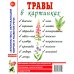 Травы в картинках. Наглядное пособие для педагогов, логопедов, воспитателей и родителей