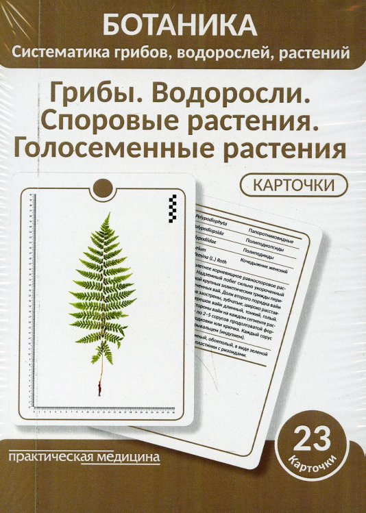 Ботаника. Систематика грибов, водорослей, растений. Грибы. Водоросли. Споровые растения. 23 карточки