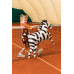 Foil balloons Zebra, 115x85 cm, mix