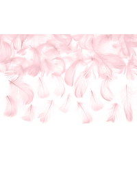 Decorative feathers, light pink, 3g