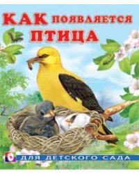 Как появляется птица