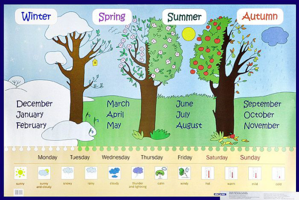 Времена года, месяцы, дни недели. Seasons, months, days of week. Наглядное пособие для начальной школы