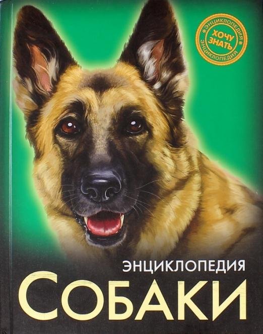 Собаки