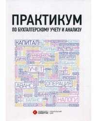 Практикум по бухгалтерскому учету и анализу. Учебно-практическое пособие