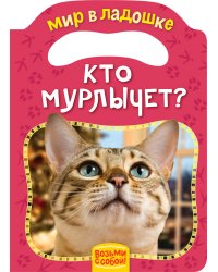 Кто мурлычет?