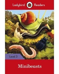 Minibeasts + downloadable audio. Level 3