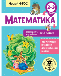 Математика. Повторяем изученное во 2 классе. 2-3 классы