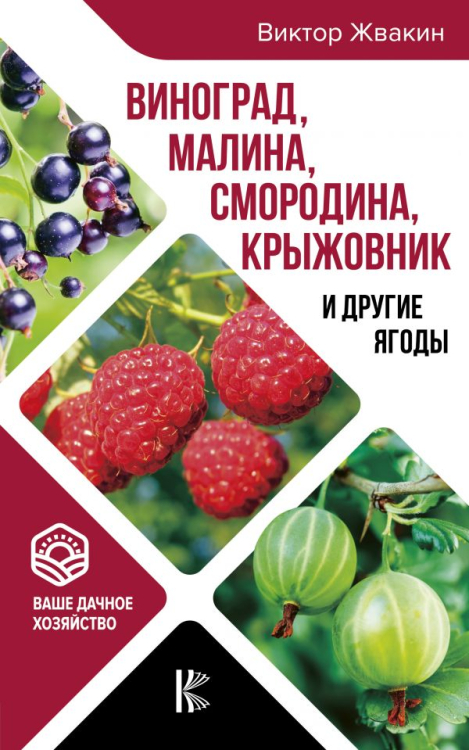 Виноград, малина, смородина, крыжовник и другие ягоды