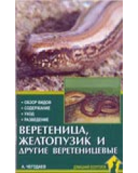 Веретеница, желтопузик и другие веретеницевые. Обзор видов. Содержание. Уход. Разведение