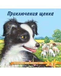 Приключения щенка