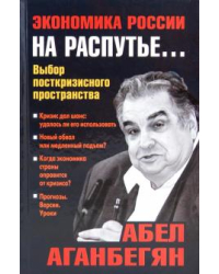 Экономика России на распутье... Выбор посткризисного пространства