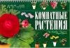 Комнатные растения. 100 самых популярных