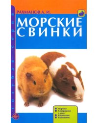 Морские свинки. Породы. Содержание и уход. Кормление. Разведение