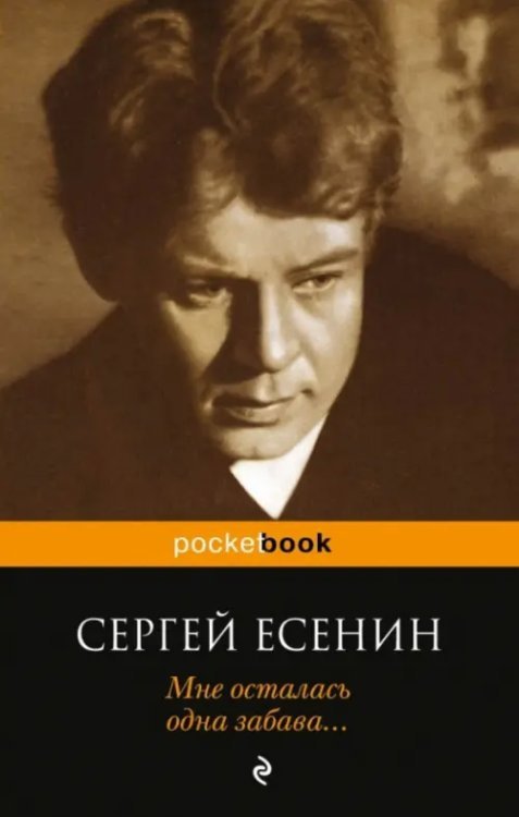 Мне осталась одна забава... Стихотворения