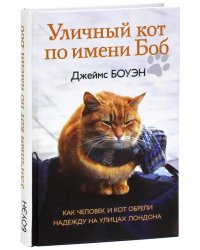 Уличный кот по имени Боб. Как человек и кот обрели надежду на улицах Лондона