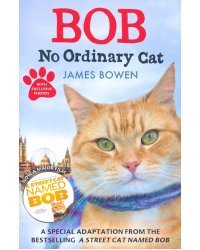 Bob: No Ordinary Cat