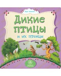 Дикие птицы и их птенцы