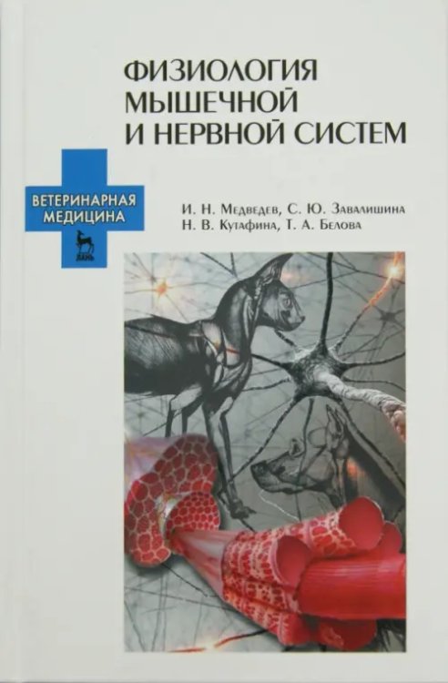 Физиология мышечной и нервной систем. Учебное пособие