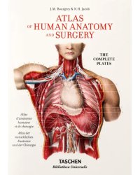 Bourgery. Atlas of Human Anatomy and Surgery