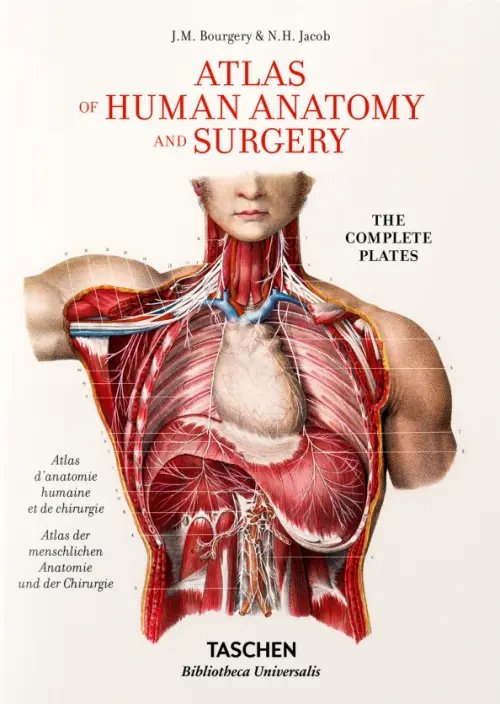 Bourgery. Atlas of Human Anatomy and Surgery