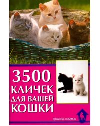 3500 кличек для вашей кошки