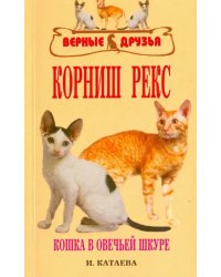 Корниш рекс. Кошка в овечьей шкуре