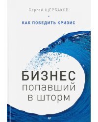 Бизнес, попавший в шторм. Как победить кризис