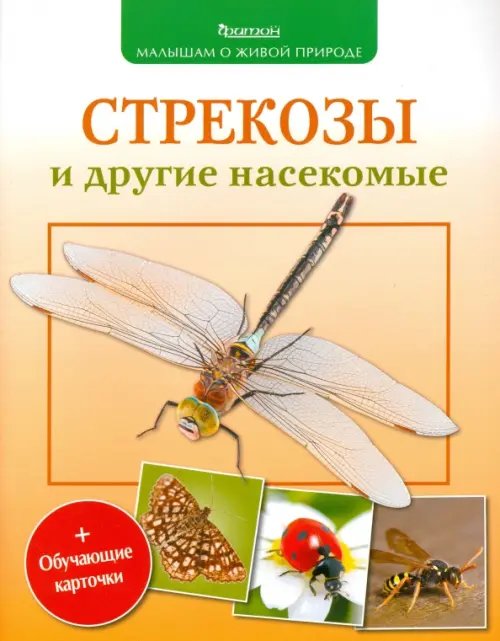 Стрекозы и другие насекомые