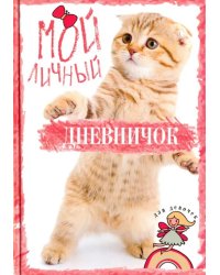 Мой личный дневничок &quot;Рыжий котик&quot;