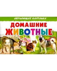 Домашние животные. Обучающие карточки