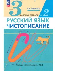 Русский язык. Чистописание. 3 класс. Рабочая тетрадь № 2