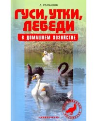 Гуси, утки, лебеди в домашнем хозяйстве. Содержание и разведение