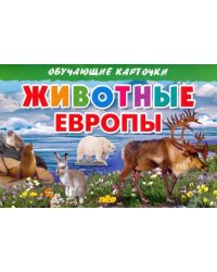 Животные Европы