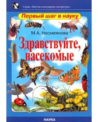 Здравствуйте, насекомые