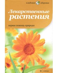 Лекарственные растения. Первая помощь природы