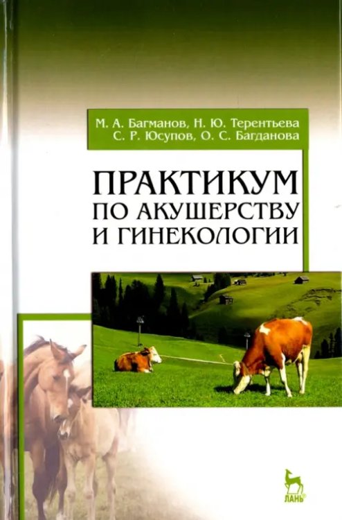 Практикум по акушерству и гинекологии. Учебное пособие