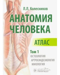 Анатомия человека. Атлас. Том 1. Остеология, артросиндесмология, миология